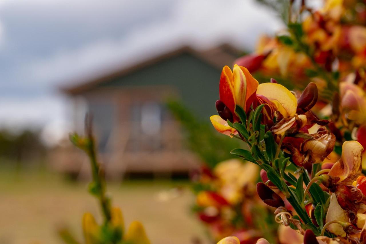 Garden Domes Βίλα Πουέρτο Νατάλες Εξωτερικό φωτογραφία