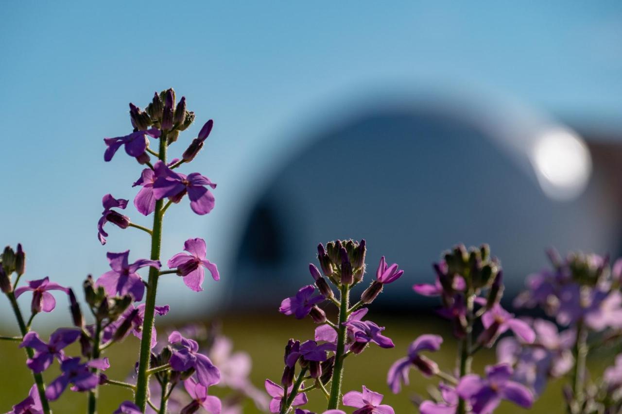 Garden Domes Βίλα Πουέρτο Νατάλες Εξωτερικό φωτογραφία