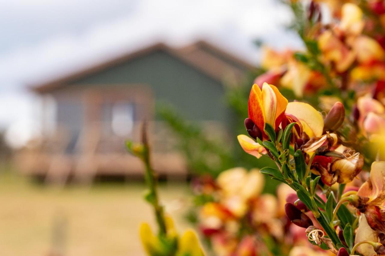 Garden Domes Βίλα Πουέρτο Νατάλες Εξωτερικό φωτογραφία